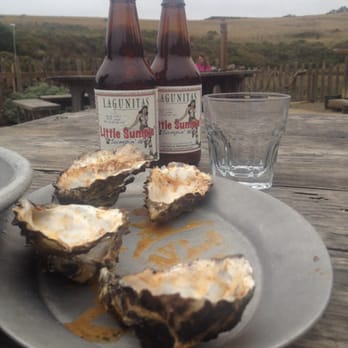 Hog Island Oyster - Nothing left but my garbage and the beauty of Tomales Bay. - Seafood Near Me - Marshall, California
