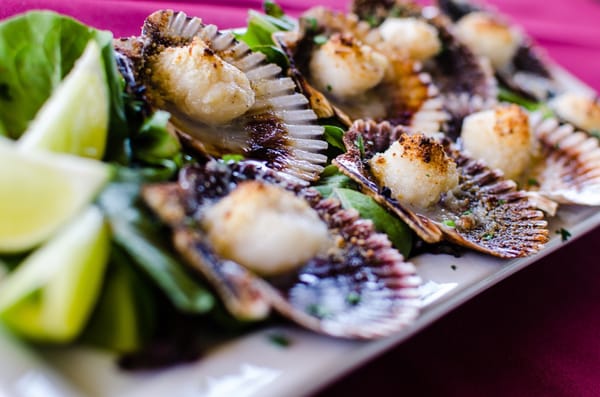 Moqueca Brazilian Restaurant by null