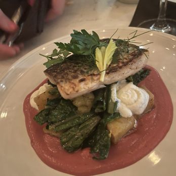 Aria - Bass - Italian Near Me - Charlotte, North Carolina Aria - Bass - Italian Near Me - Charlotte, North Carolina