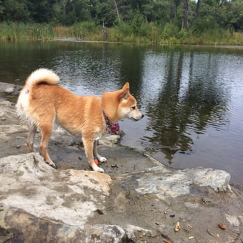 Bark and Stroll Doggy Services - Dog Walkers Near Me