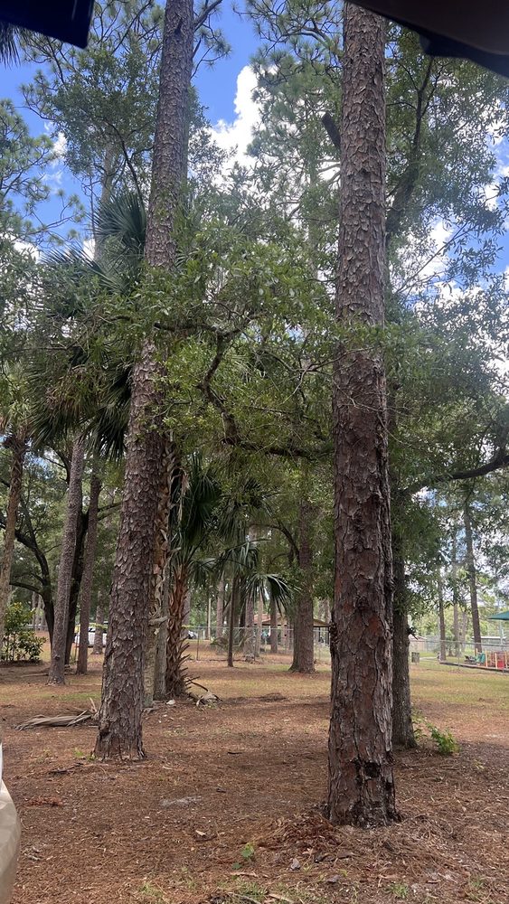 Valentine Park Image