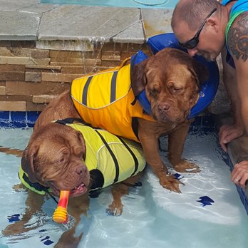 Cutting Edge K9 rehab - Pet Services Near Me - Del Mar, California Cutting Edge K9 rehab - Pet Services Near Me - Del Mar, California