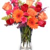 Vice's Marion Floral gift card