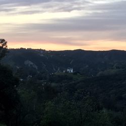Topanga Canyon Inn Bed and Breakfast - Rhett And Scarlett - view from window