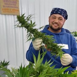 Dallas Hemp - Owner of Dallas Hemp Company
