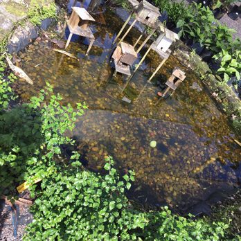 Rockledge Gardens - Nurseries & Gardening Near Me - Rockledge, Florida