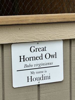 Old Man's Cave by null