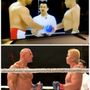 Point of Impact MMA