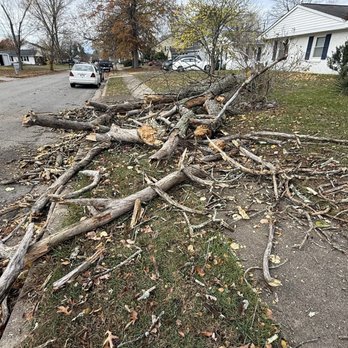 Stringfellow's Tree Service - Tree Services Near Me - Amissville, Virginia