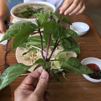 Pho Le Restaurant - Generous portions of Thai basil and bean sprouts! - Vietnamese Near Me - Boston, Massachusetts Pho Le Restaurant - Generous portions of Thai basil and bean sprouts! - Vietnamese Near Me - Boston, Massachusetts