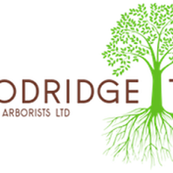 Woodridge Tree