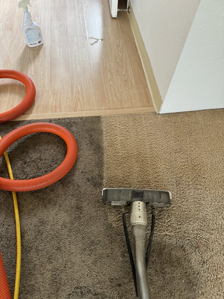 STEAM MASTERS WESTSIDE Updated June 2024 58 Photos Honolulu