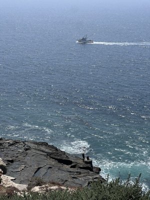 Point Fermin Park by null