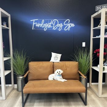 Furologist Dog Spa - Pet Groomers Near Me - San Jose, California