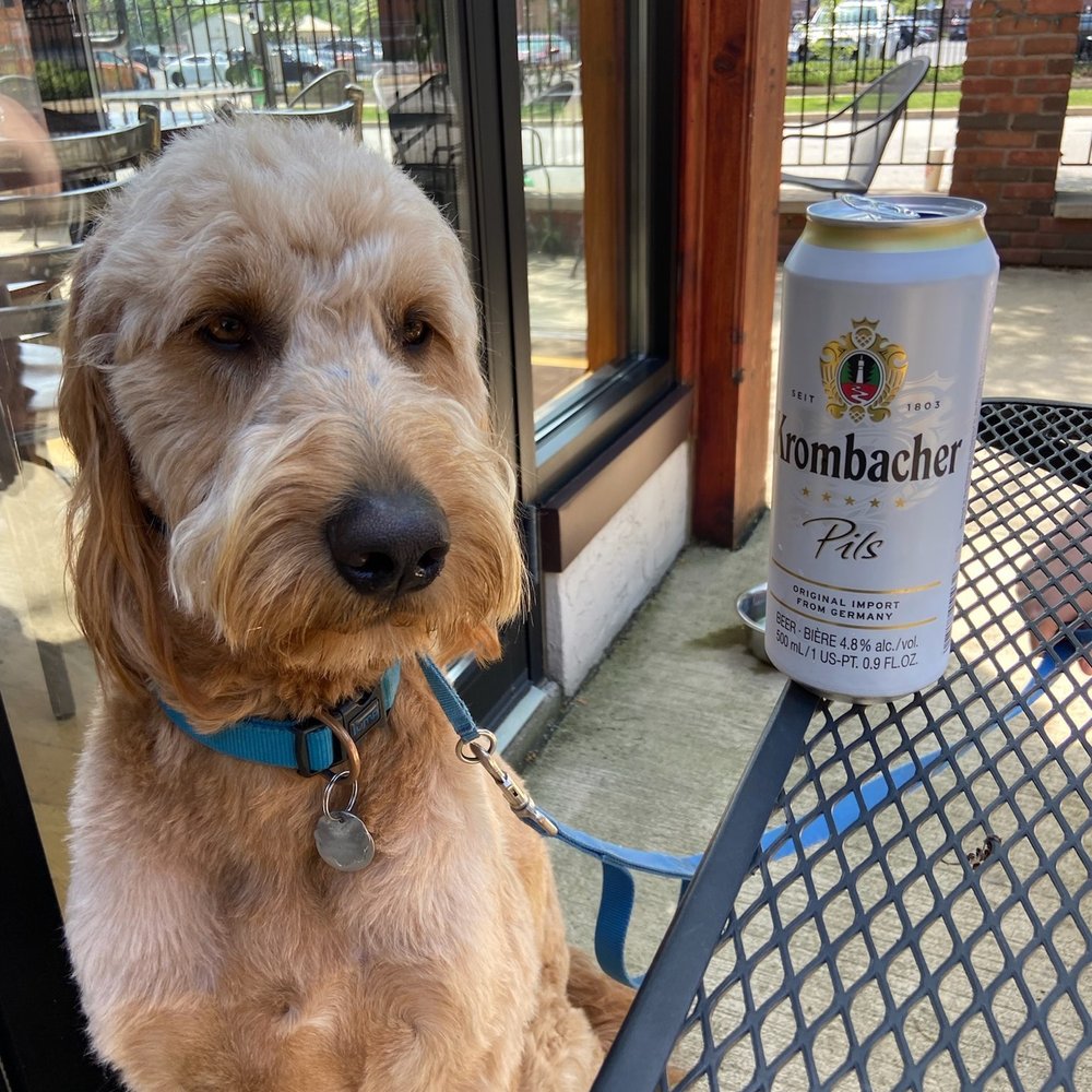 Hansa Brewery - Dog-friendly patio - Breweries Near Me - Cleveland, Ohio Hansa Brewery - Dog-friendly patio - Breweries Near Me - Cleveland, Ohio