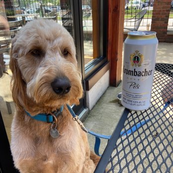 Hansa Brewery - Dog-friendly patio - Breweries Near Me - Cleveland, Ohio