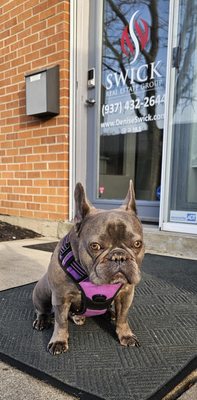 Denise Swick-The Swick Real Estate Group