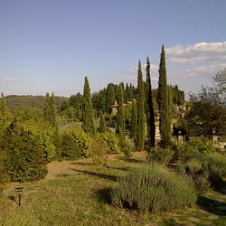 Osteria Castello di Starda