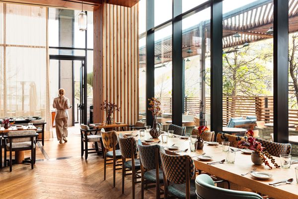 The Peacock by null The Peacock by null