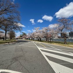 East Potomac Park