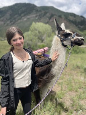 Paragon Guides by null