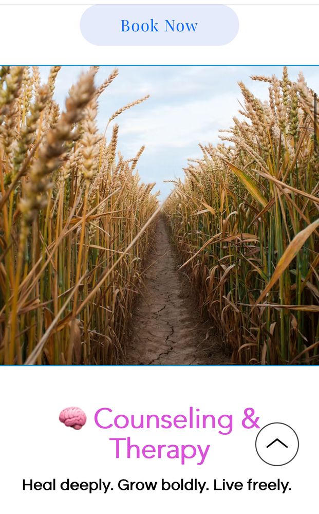 Zoe Counseling Services - grief counselor in Grand Prairie, TX