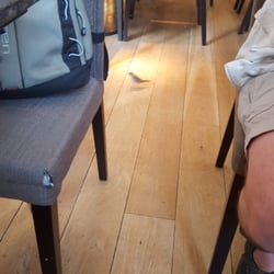 Konditorei Bäckerei Peters - Die Spatzen wissen auch, wo es schmeckt