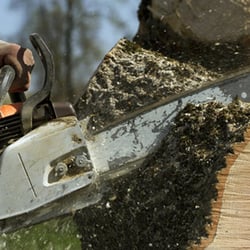 Precision Tree Service