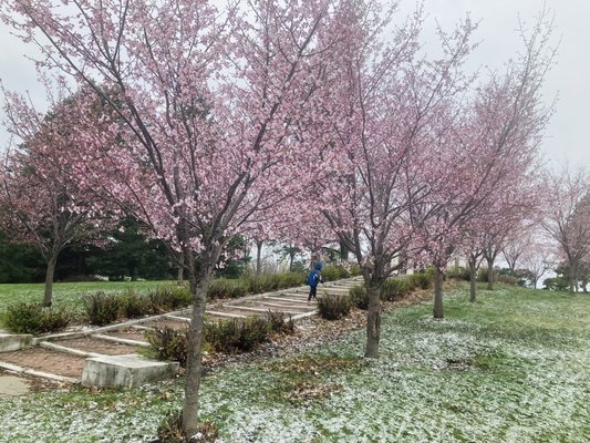 Como Lakeside Pavilion by null
