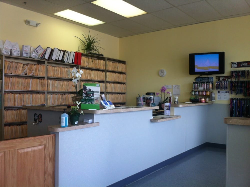 STADIUM VETERINARY SERVICES Updated October 2024 12 Photos & 121