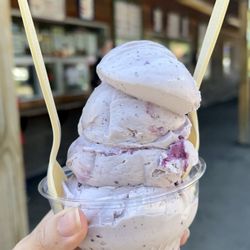 Ice Cream Fore-U - Maine wild blueberry (small)