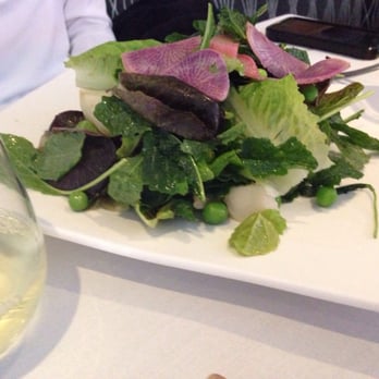 Black Eyed Susans - Baby kale salad - Salad Near Me - Harvey Cedars, New Jersey Black Eyed Susans - Baby kale salad - Salad Near Me - Harvey Cedars, New Jersey