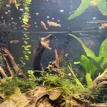 Don's Tropical Pets & Plants - Local Fish Stores Near Me - San Antonio, Texas