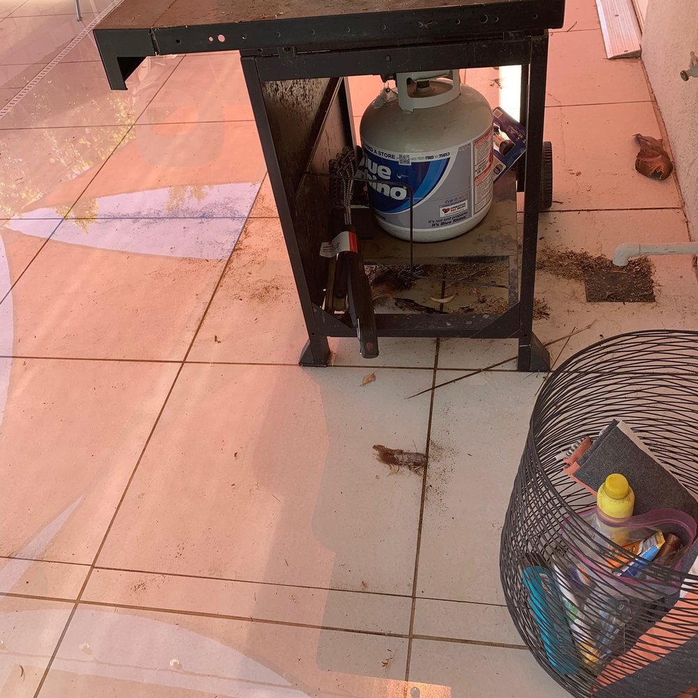 Pool Care Solutions - Pool Cleaners Near Me - Palm Springs, California