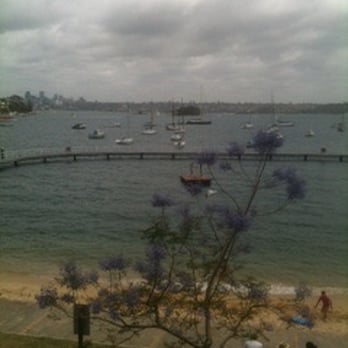 Murray Rose Pool - Redleaf Pool - Beaches Near Me - Double Bay, NSW