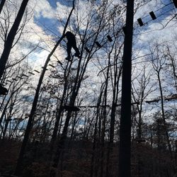 Go Ape Zipline & Adventure Park - One of the first obstacles - longer than many of them, but straightforward to get you used to the sensations