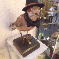 Fairytailor - Find a new friend here