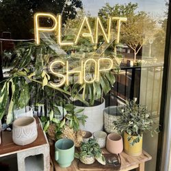The Growing Groves Plant Shop - Our first display!