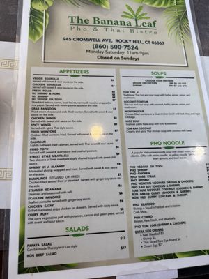 The Banana Leaf by null