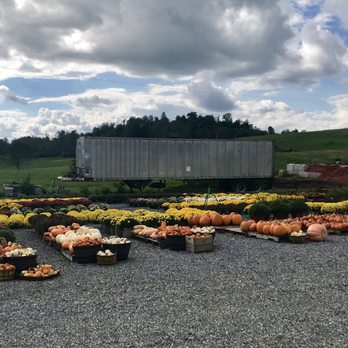 Haynes Greenhouse Inc - Nurseries & Gardening Near Me - Glade Spring, Virginia Haynes Greenhouse Inc - Nurseries & Gardening Near Me - Glade Spring, Virginia