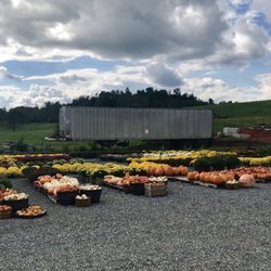 Haynes Greenhouse Inc