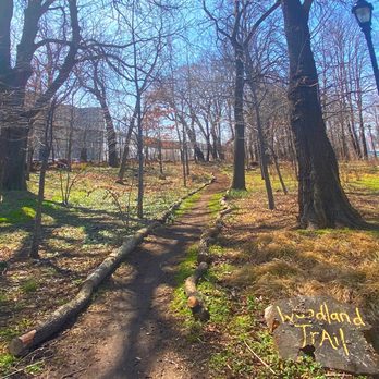 Randall's Island Park - Parks Near Me - New York, New York