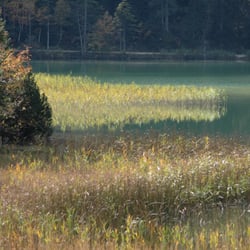 Gasthaus Ferchensee