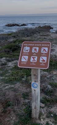 Asilomar State Beach by null