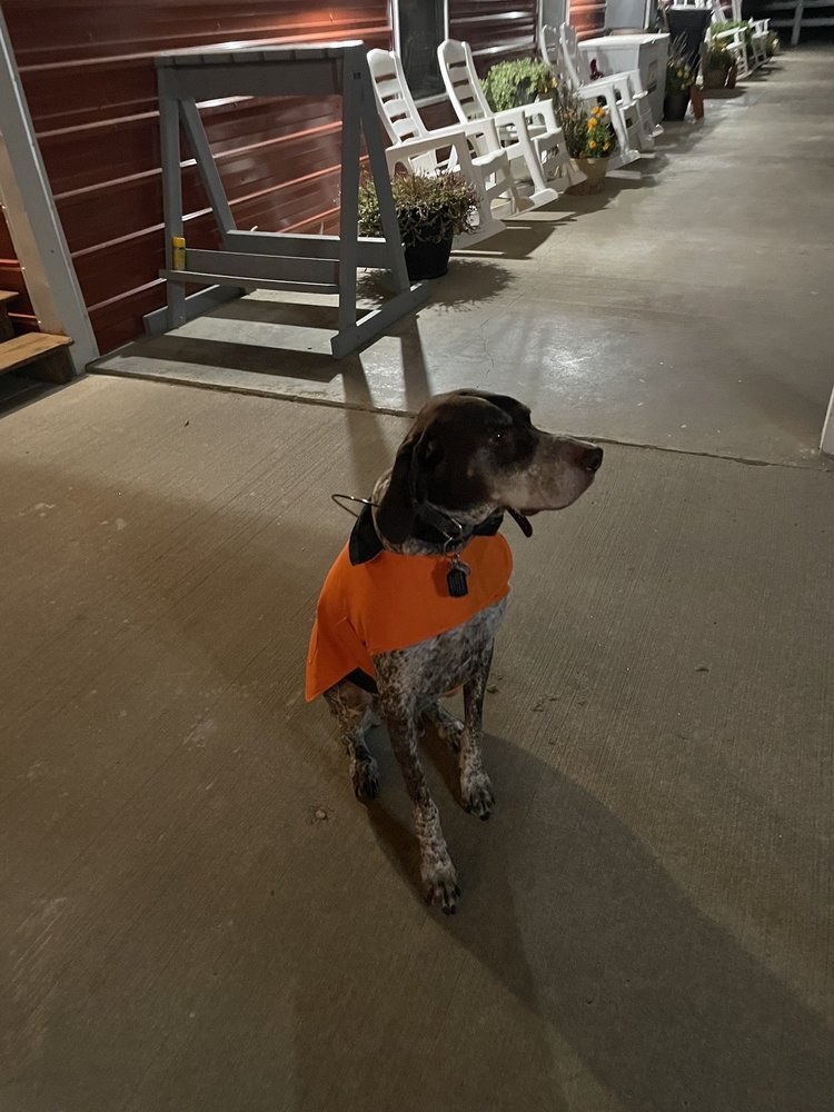 HORSESHOE K RANCH Updated August 2024 23539 365th Ave, Kimball