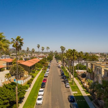 Penguin VR Media - Just a few more Palm Trees... - Real Estate Photography Near Me Penguin VR Media - Just a few more Palm Trees... - Real Estate Photography Near Me