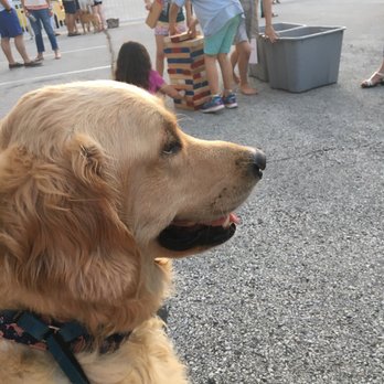 Conshohocken Beer Garden - Dogs, kids, and beer.. oh my!! - Beer Gardens Near Me - Conshohocken, Pennsylvania Conshohocken Beer Garden - Dogs, kids, and beer.. oh my!! - Beer Gardens Near Me - Conshohocken, Pennsylvania