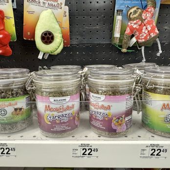 Petco - Pet Stores Near Me - Kissimmee, Florida