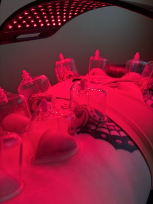 Arlo Physical Therapy & Wellness