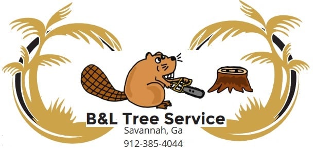 Savannah Tree Service by B&L - tree service in Savannah, GA
